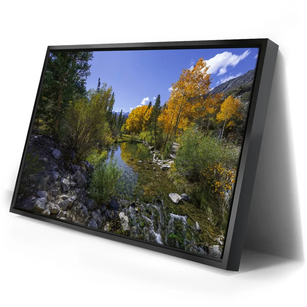 Featured image 2 for Bishop Creek Mountain Stream
