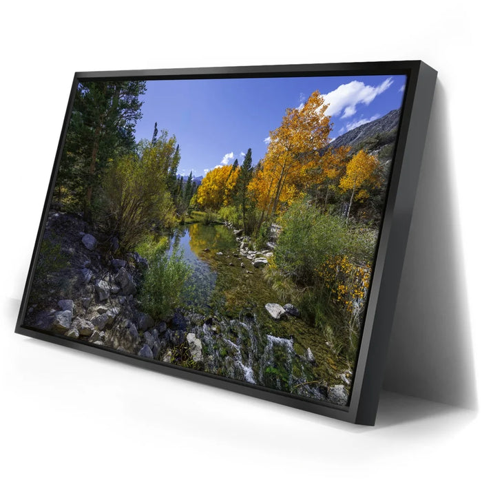 Featured image 2 for Bishop Creek Mountain Stream