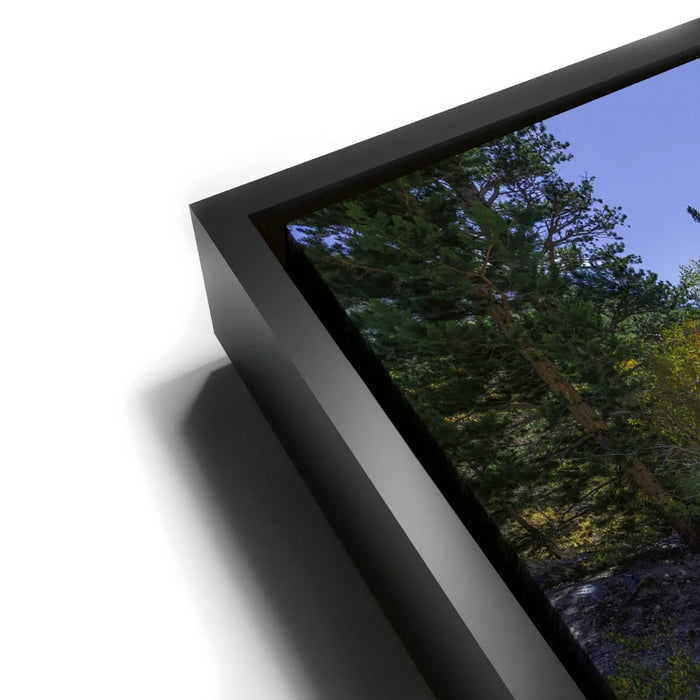 Featured image 11 for Bishop Creek Mountain Stream