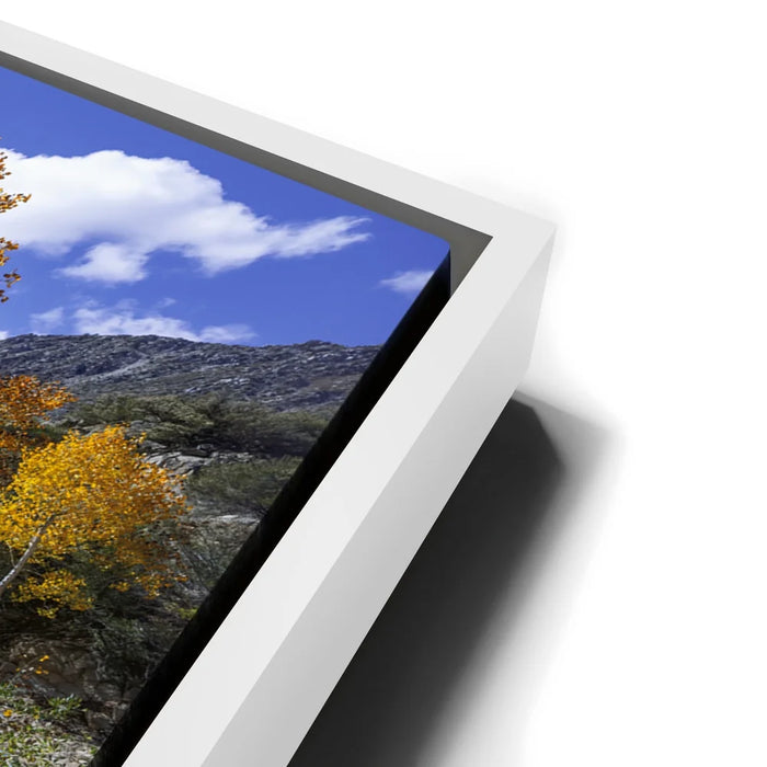 Featured image 13 for Bishop Creek Mountain Stream