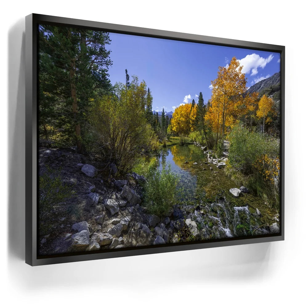 Featured image 5 for Bishop Creek Mountain Stream