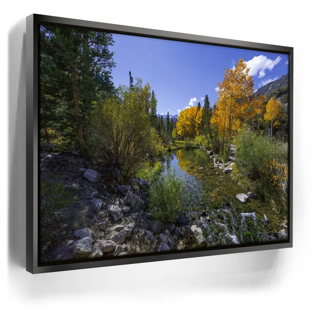 Featured image 5 for Bishop Creek Mountain Stream