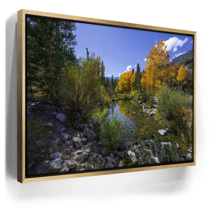 Featured image 7 for Bishop Creek Mountain Stream