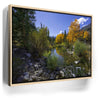 Featured image 9 for Bishop Creek Mountain Stream