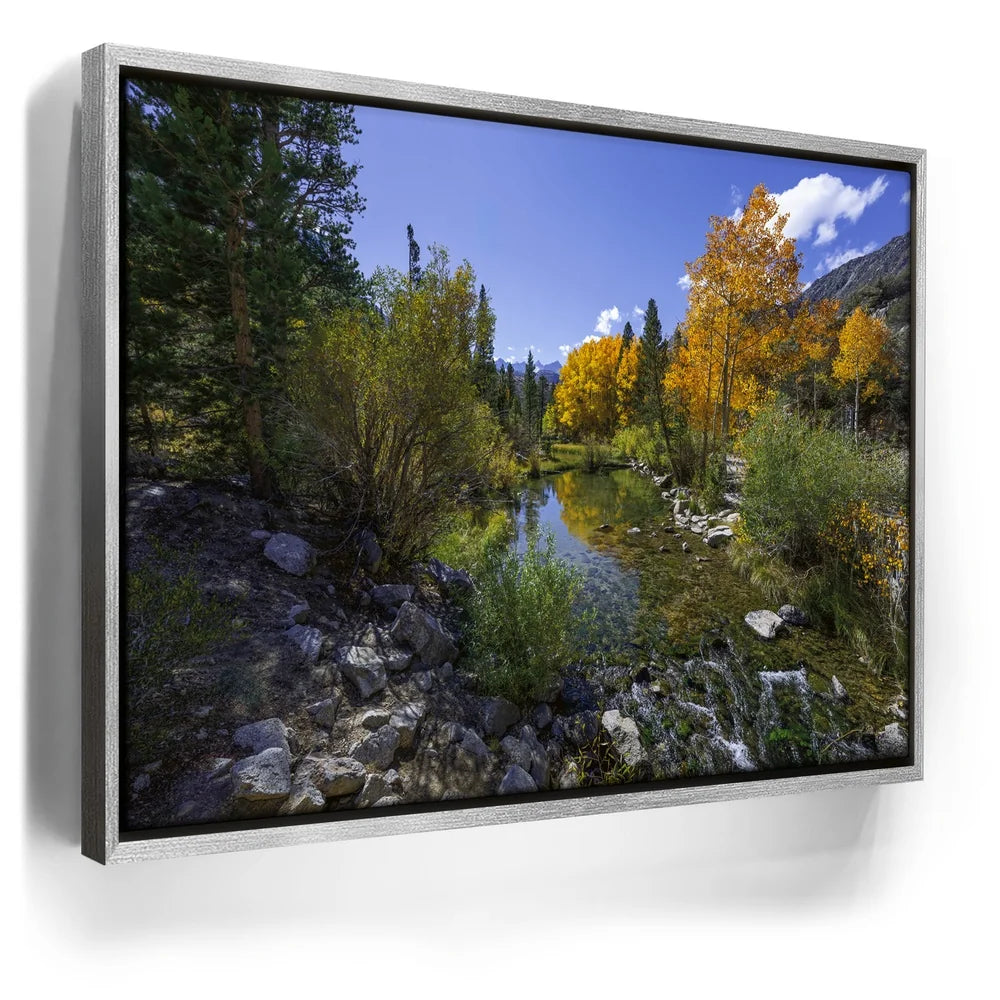 Featured image 8 for Bishop Creek Mountain Stream