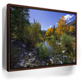 Featured image 10 for Bishop Creek Mountain Stream
