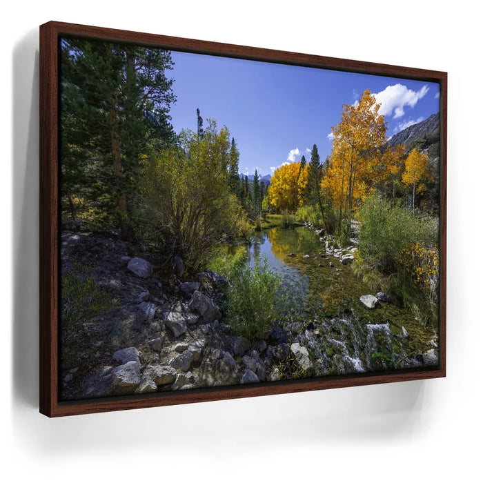 Featured image 10 for Bishop Creek Mountain Stream