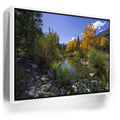 Featured image 6 for Bishop Creek Mountain Stream