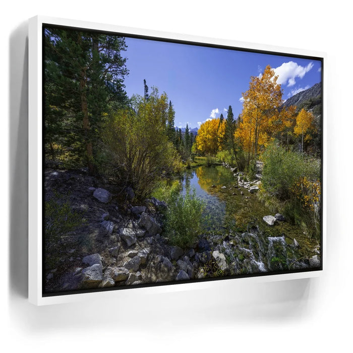 Featured image 6 for Bishop Creek Mountain Stream