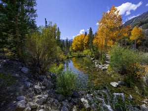 Alan Crosthwaite featured image 3