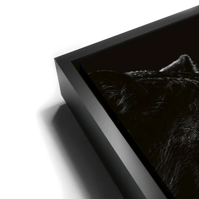 Featured image 12 for Black Panther Queen