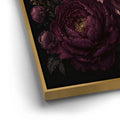 Thumbnail image 13 for Black Swan Elegance