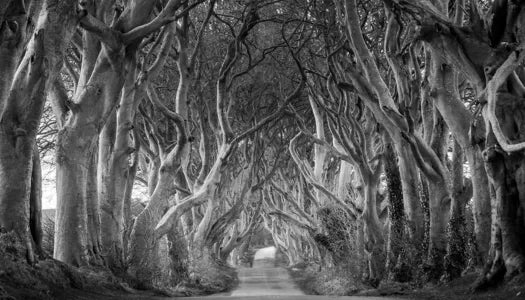 Black and White Art