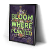 Thumbnail image 2 for Bloom Where Planted II - Sketch