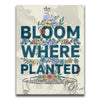 Featured image 1 for Bloom Where Planted III - Sketch