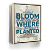 Featured image 10 for Bloom Where Planted III - Sketch