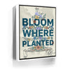 Featured image 7 for Bloom Where Planted III - Sketch