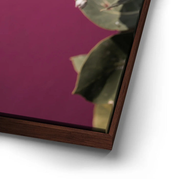 Featured image 15 for Blossom At The Pink Pond - Maui, Kealia Pond