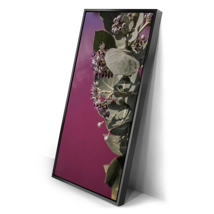 Featured image 2 for Blossom At The Pink Pond - Maui, Kealia Pond