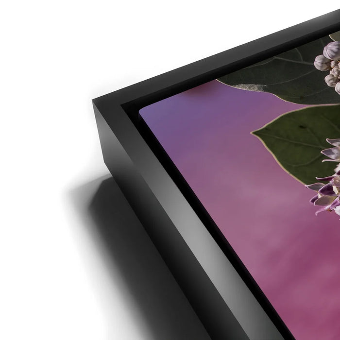 Featured image 12 for Blossom At The Pink Pond - Maui, Kealia Pond