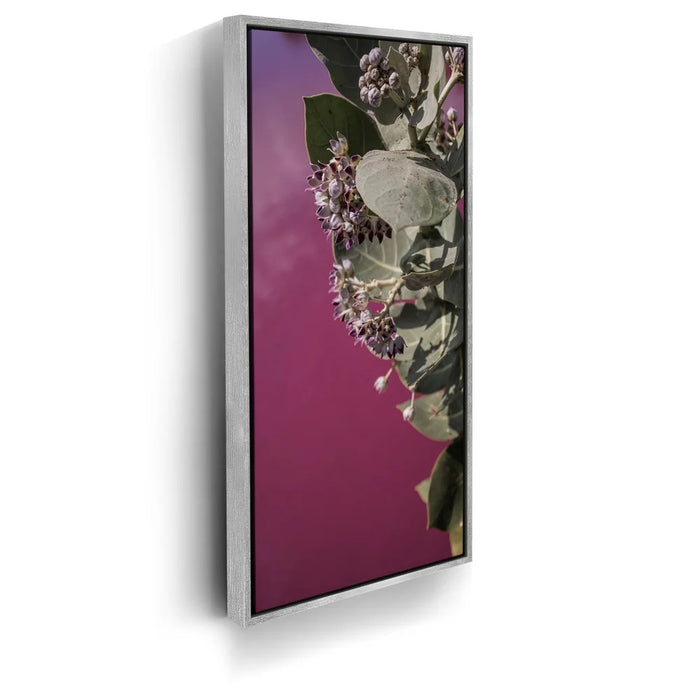 Featured image 9 for Blossom At The Pink Pond - Maui, Kealia Pond