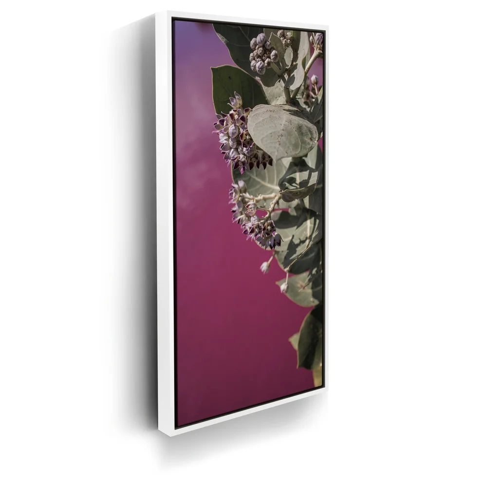 Featured image 6 for Blossom At The Pink Pond - Maui, Kealia Pond
