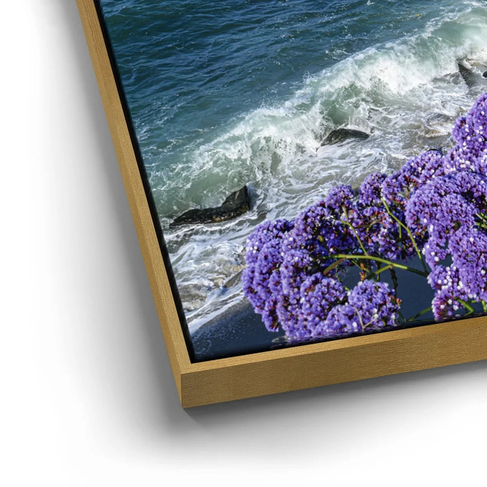Featured image 13 for Blossoms Above the Tide, La Jolla