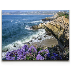 Blossoms Above the Tide, La Jolla