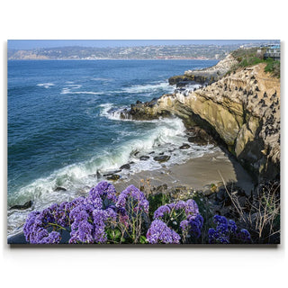 Blossoms Above the Tide, La Jolla
