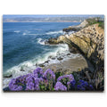 Featured image 1 for Blossoms Above the Tide, La Jolla