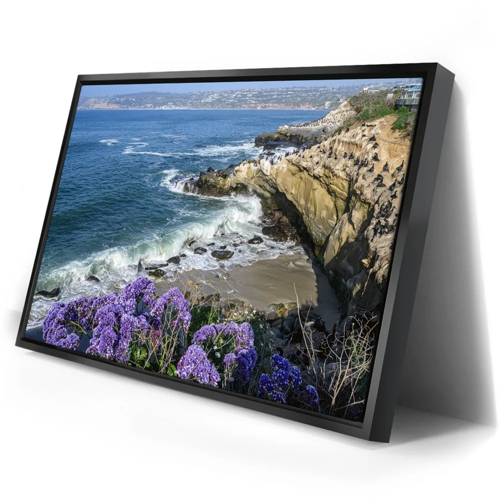 Featured image 2 for Blossoms Above the Tide, La Jolla