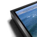 Thumbnail image 12 for Blossoms Above the Tide, La Jolla