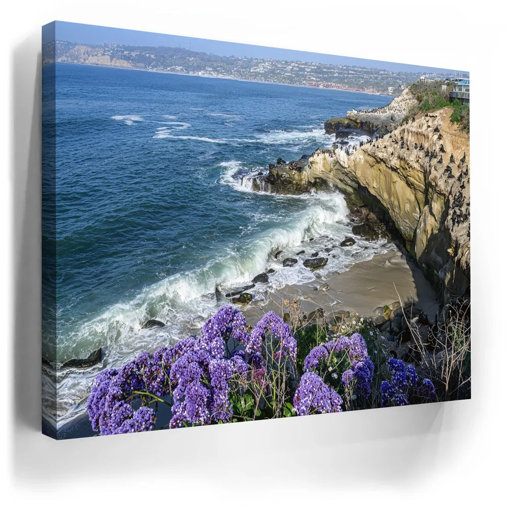 Featured image 3 for Blossoms Above the Tide, La Jolla