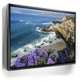 Featured image 6 for Blossoms Above the Tide, La Jolla