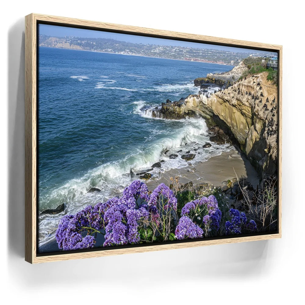 Featured image 10 for Blossoms Above the Tide, La Jolla