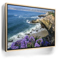 Featured image 10 for Blossoms Above the Tide, La Jolla