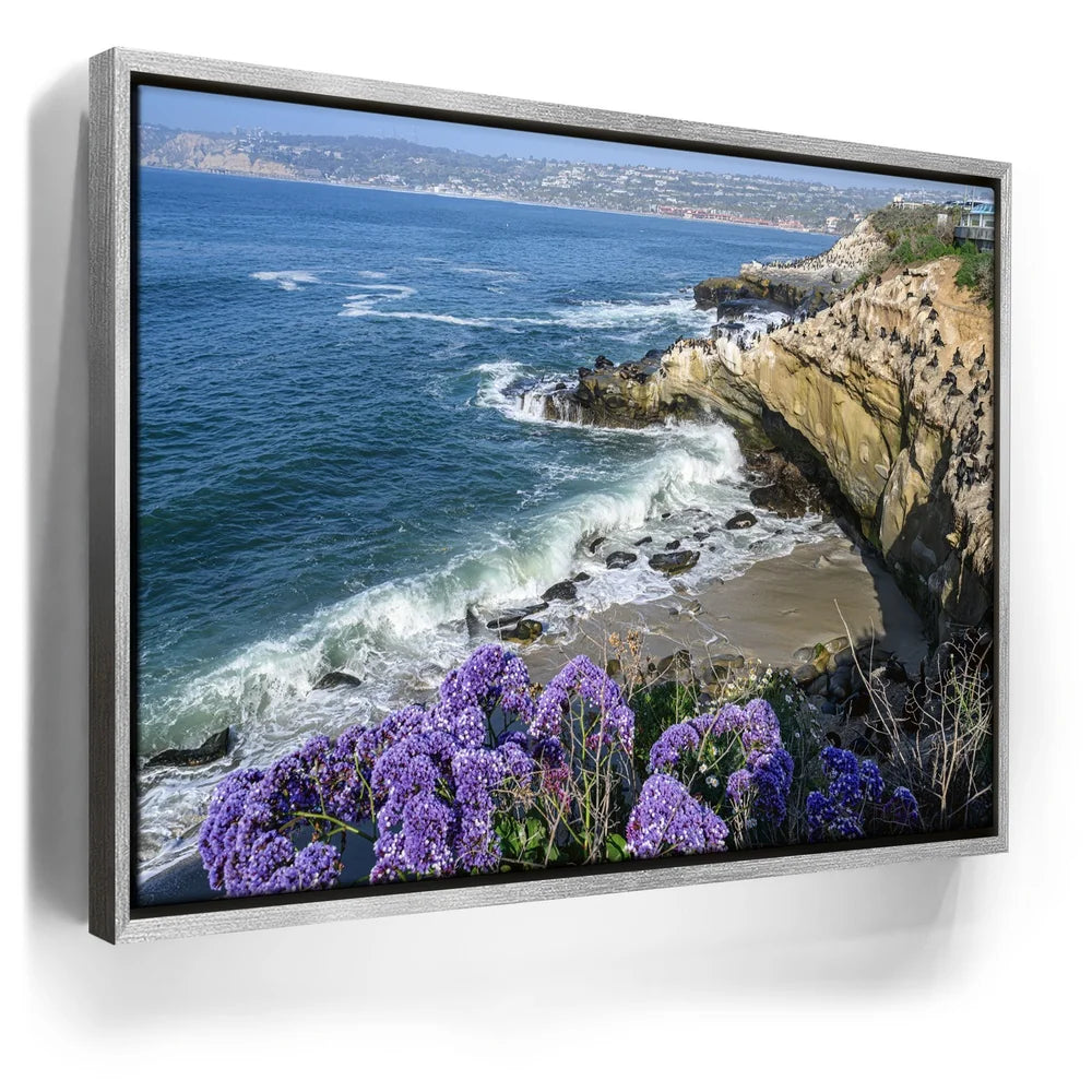 Featured image 9 for Blossoms Above the Tide, La Jolla