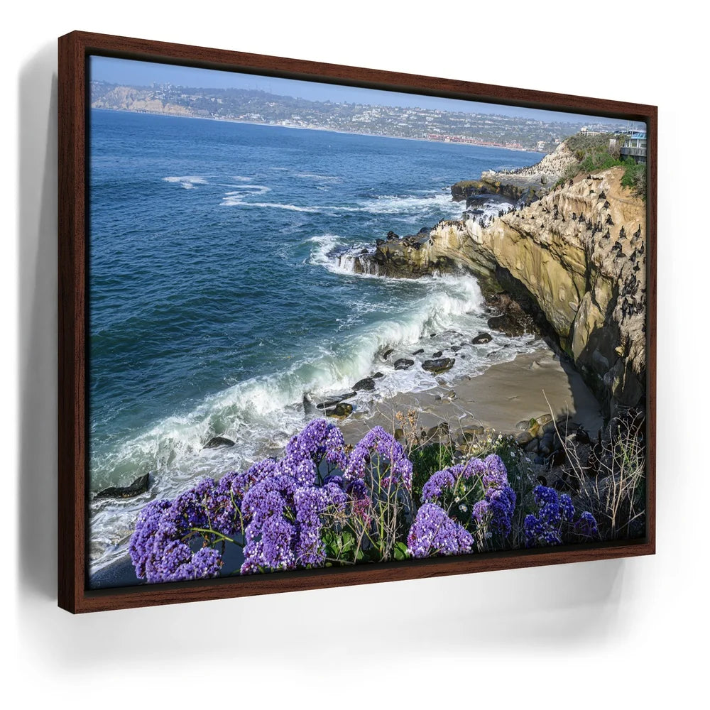 Featured image 11 for Blossoms Above the Tide, La Jolla