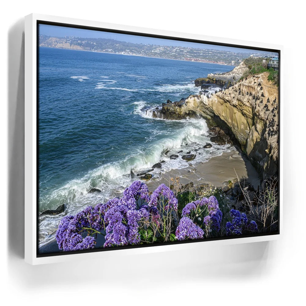 Featured image 7 for Blossoms Above the Tide, La Jolla