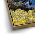 Thumbnail image 12 for Blue Calm On Tahoe Coast