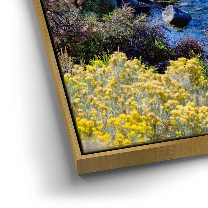 Featured image 12 for Blue Calm On Tahoe Coast