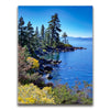Featured image 1 for Blue Calm On Tahoe Coast