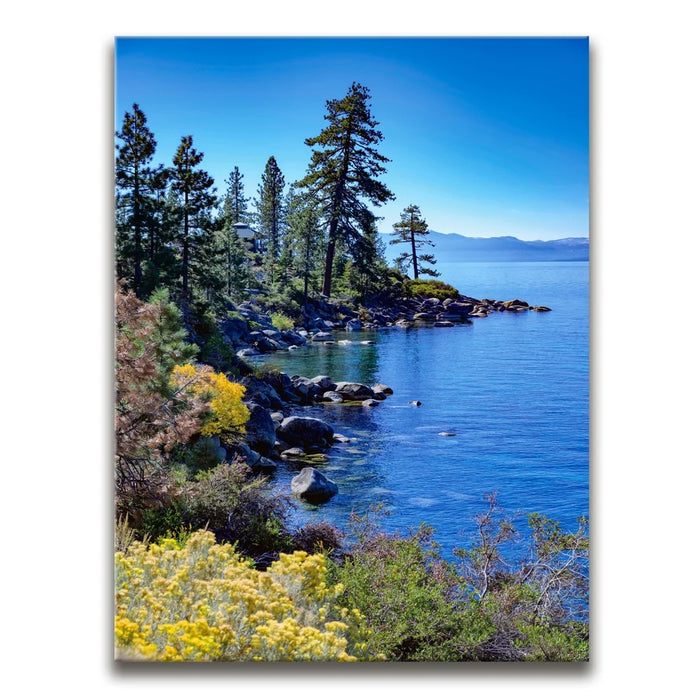 Featured image 1 for Blue Calm On Tahoe Coast