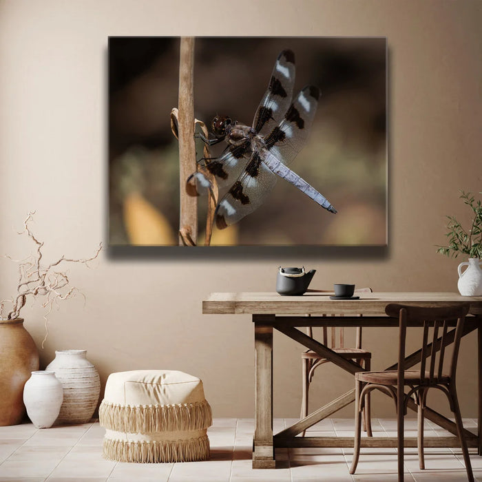 Featured image 2 for Blue Libelula II, California