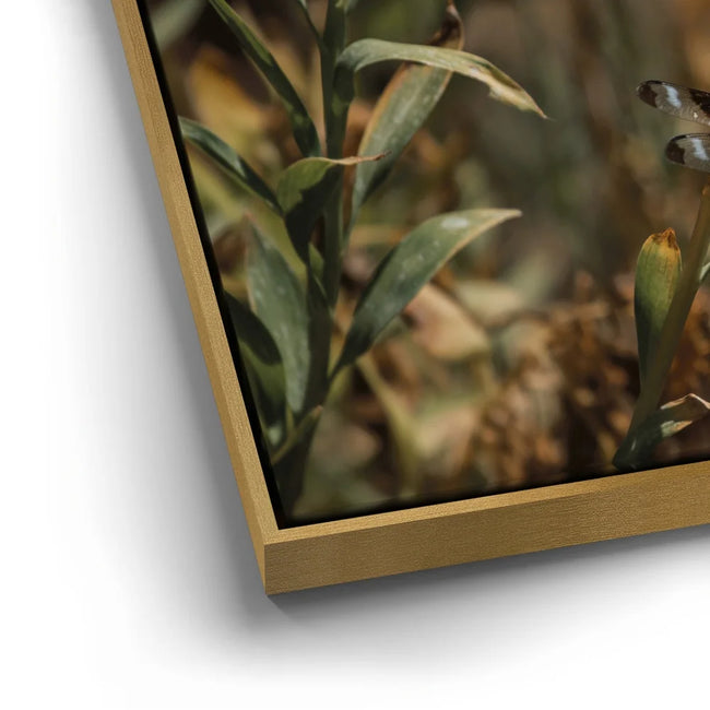 Featured image 12 for Blue Libelula I, California