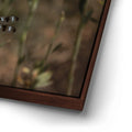 Thumbnail image 14 for Blue Libelula I, California