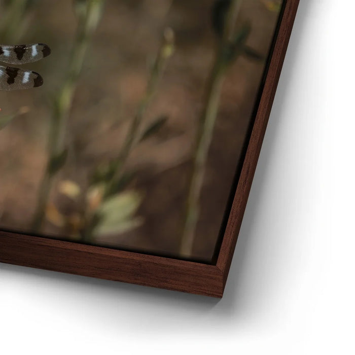 Featured image 14 for Blue Libelula I, California