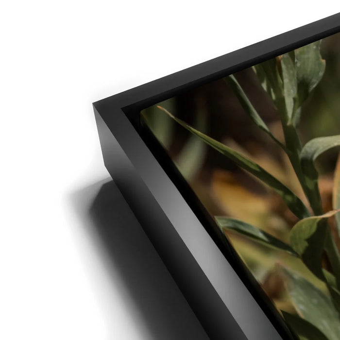 Featured image 12 for Blue Libelula I, California