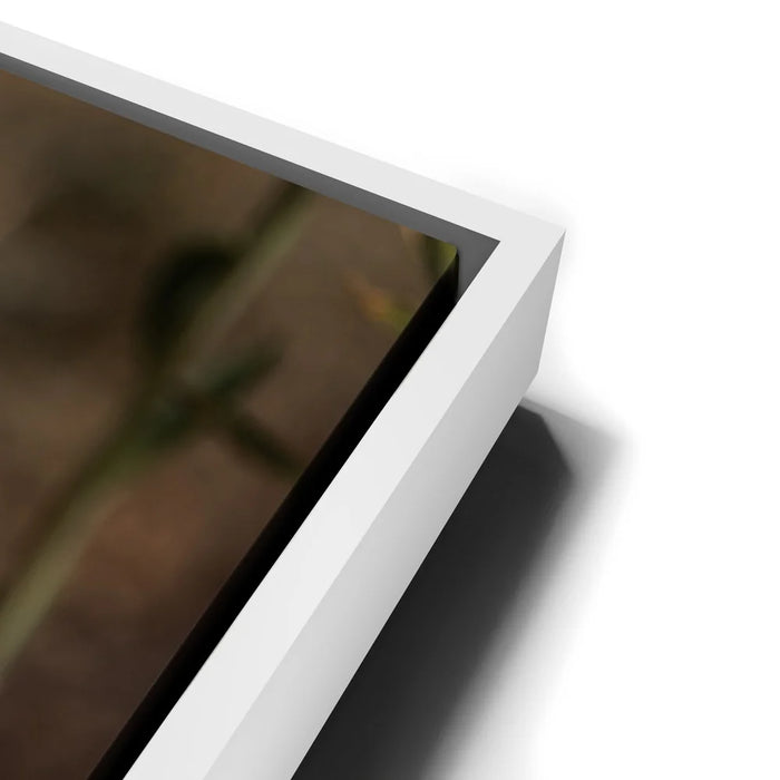 Featured image 14 for Blue Libelula I, California