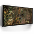 Featured image 5 for Blue Libelula I, California